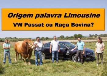 Origem da palavra Limousine 
