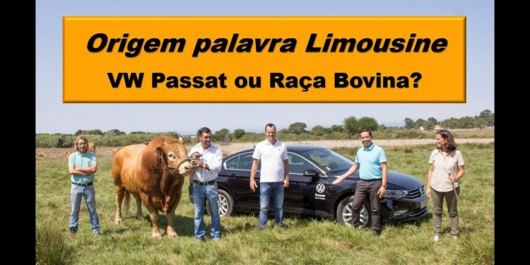 Origem da palavra Limousine