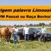 Origem da palavra Limousine