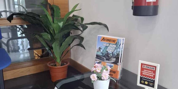 Auto Silva – Foto do mês