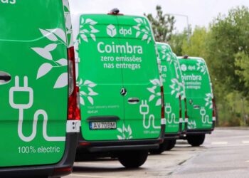 DPD junta-se à ZERO para restaurar habitats na Mata Nacional de Leiria