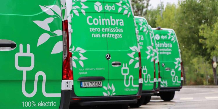 DPD junta-se à ZERO para restaurar habitats na Mata Nacional de Leiria