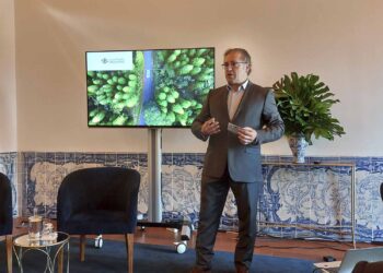 Arval identifica mais empresas a utilizar viaturas usadas em Portugal