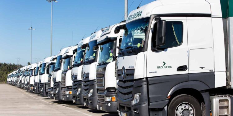 Broliveira e Thermo King melhoram logística da cadeia de frio