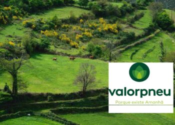 Valorpneu – com indicadores positivos em 2025
