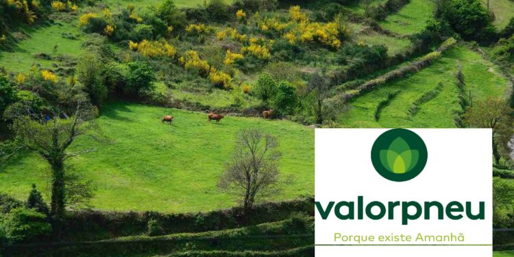 Valorpneu – com indicadores positivos em 2025