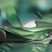 Grupo Carlyle adquire a BASF Coatings